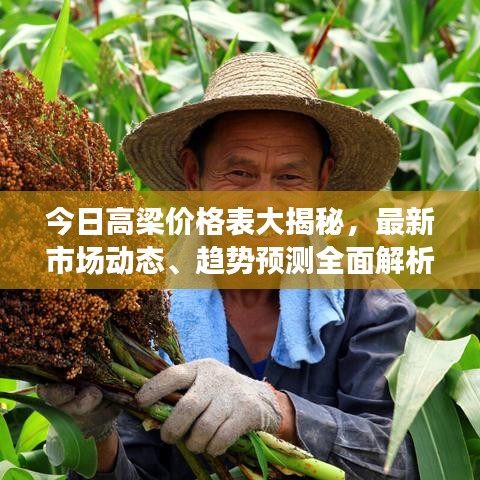 今日高梁价格表大揭秘，最新市场动态、趋势预测全面解析！