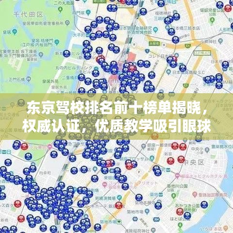 东京驾校排名前十榜单揭晓，权威认证，优质教学吸引眼球！