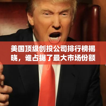 美国顶级创投公司排行榜揭晓，谁占据了最大市场份额？
