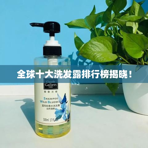 全球十大洗发露排行榜揭晓！