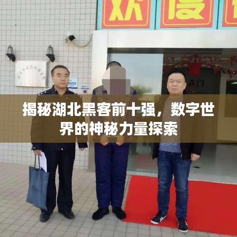 揭秘湖北黑客前十强，数字世界的神秘力量探索