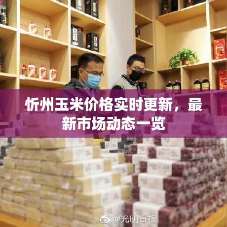 忻州玉米价格实时更新，最新市场动态一览