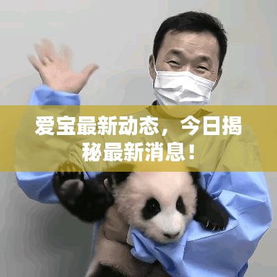 爱宝最新动态，今日揭秘最新消息！
