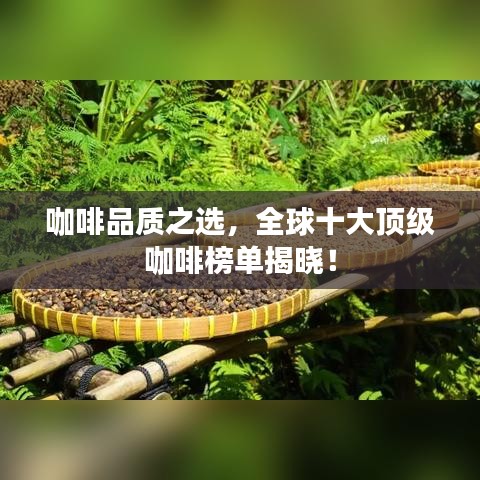 咖啡品质之选，全球十大顶级咖啡榜单揭晓！
