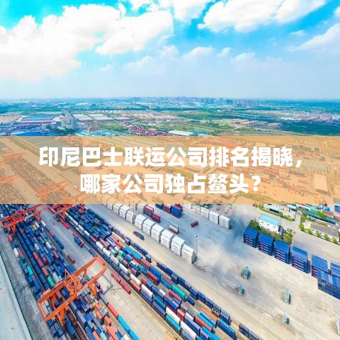 印尼巴士联运公司排名揭晓，哪家公司独占鳌头？