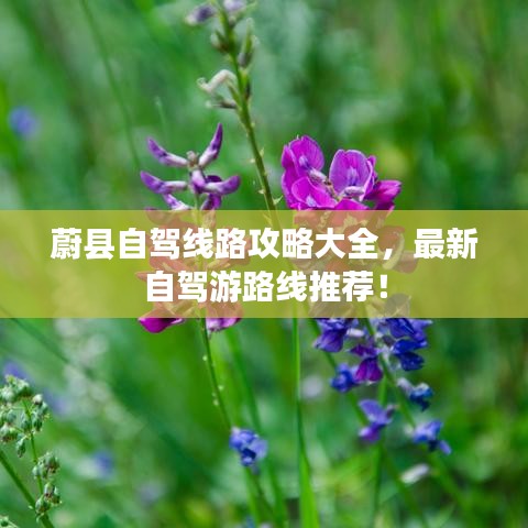 蔚县自驾线路攻略大全，最新自驾游路线推荐！