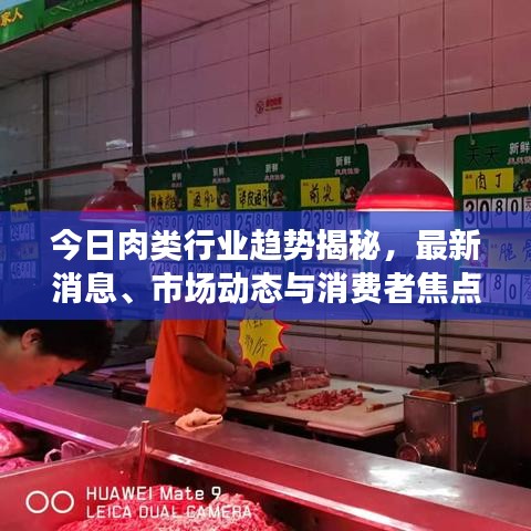 发硎新试 第2页