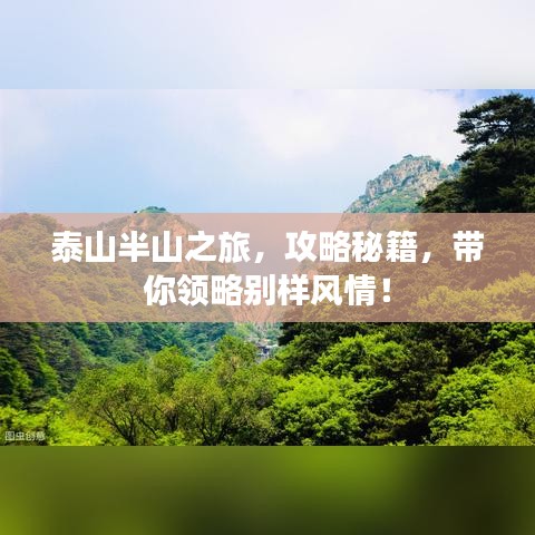 泰山半山之旅，攻略秘籍，带你领略别样风情！