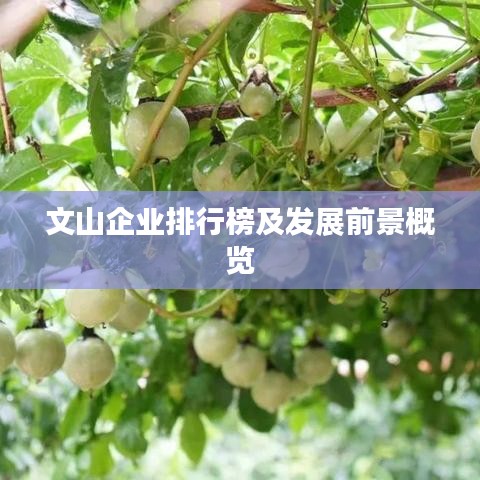 笨鸟先飞 第2页