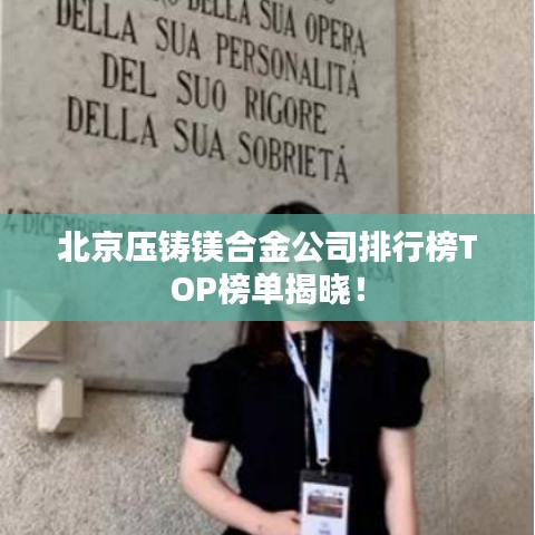 北京压铸镁合金公司排行榜TOP榜单揭晓！
