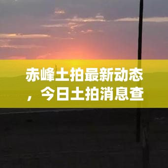 赤峰土拍最新动态，今日土拍消息查询结果揭晓！