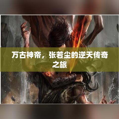 雍容华贵 第2页