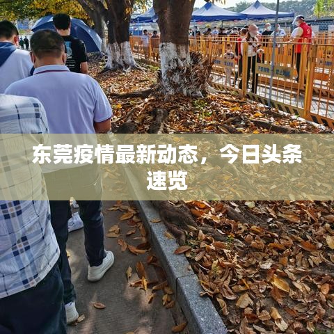 东莞疫情最新动态，今日头条速览
