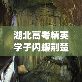 联系我们 第64页
