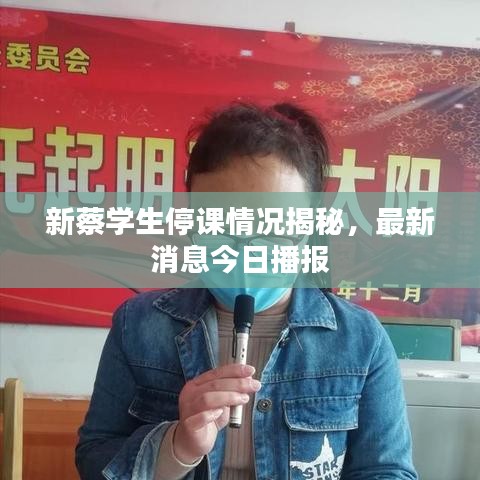 新蔡学生停课情况揭秘，最新消息今日播报