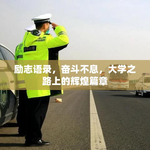 励志语录，奋斗不息，大学之路上的辉煌篇章
