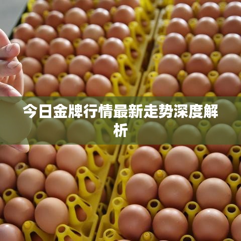 今日金牌行情最新走势深度解析