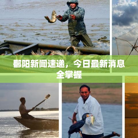 鄱阳新闻速递，今日最新消息全掌握