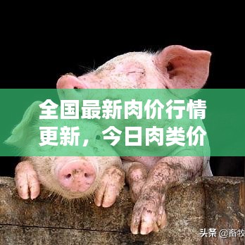 全国最新肉价行情更新，今日肉类价格一览