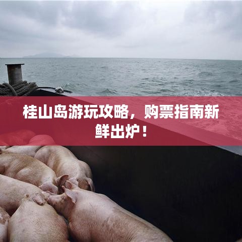 桂山岛游玩攻略，购票指南新鲜出炉！