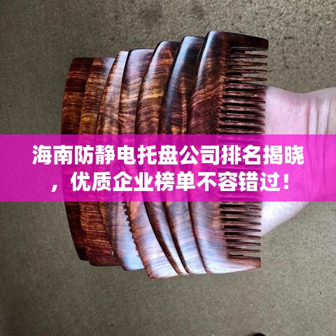 海南防静电托盘公司排名揭晓，优质企业榜单不容错过！