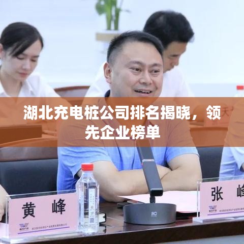 湖北充电桩公司排名揭晓，领先企业榜单