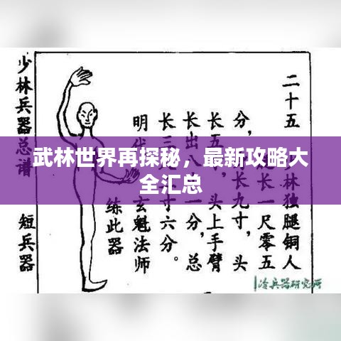 武林世界再探秘，最新攻略大全汇总
