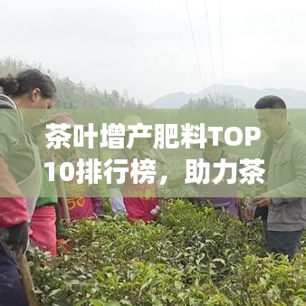 茶叶增产肥料TOP10排行榜，助力茶叶产业蓬勃发展！