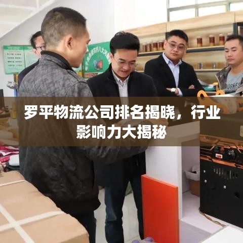 罗平物流公司排名揭晓，行业影响力大揭秘