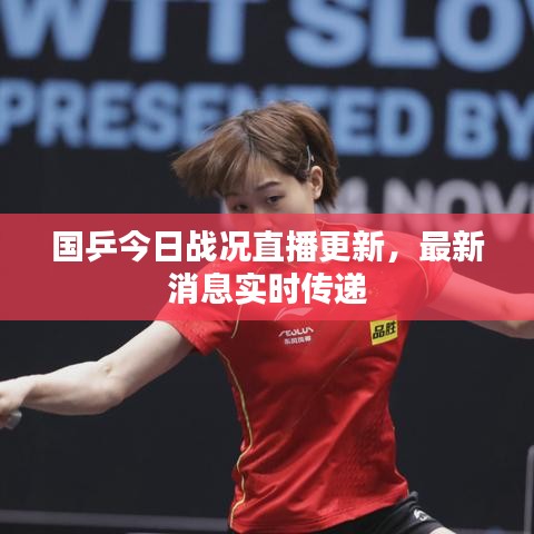 国乒今日战况直播更新，最新消息实时传递