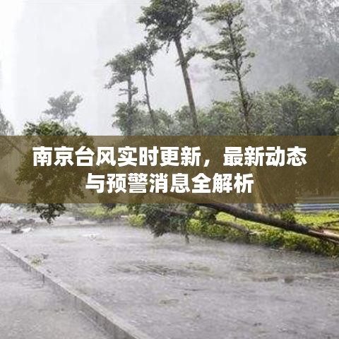 南京台风实时更新，最新动态与预警消息全解析