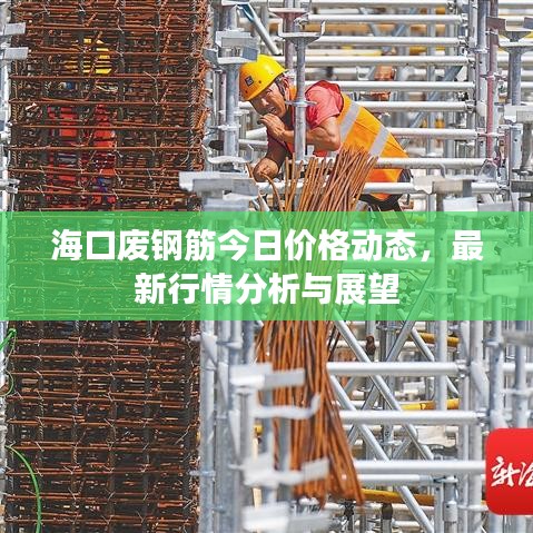 海口废钢筋今日价格动态，最新行情分析与展望