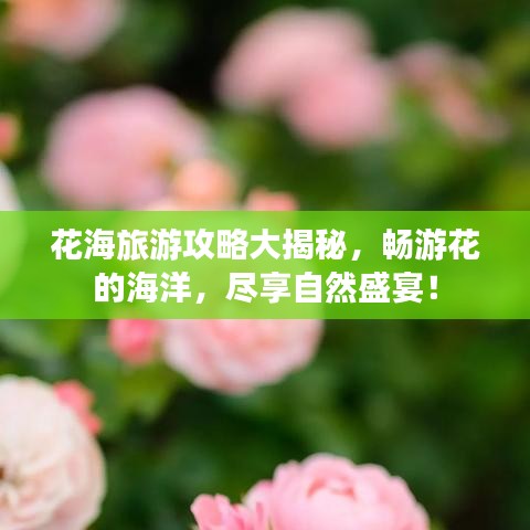 花海旅游攻略大揭秘，畅游花的海洋，尽享自然盛宴！