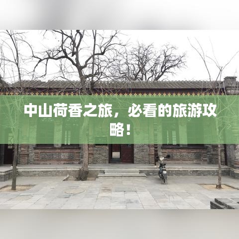 中山荷香之旅，必看的旅游攻略！