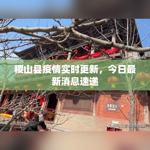稷山县疫情实时更新，今日最新消息速递