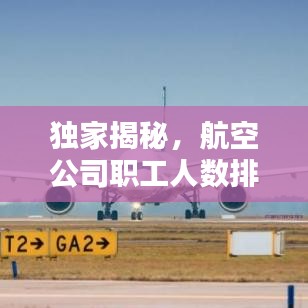 独家揭秘，航空公司职工人数排名榜单！