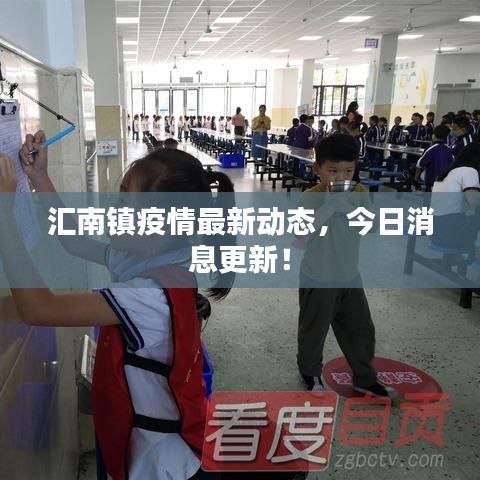 汇南镇疫情最新动态，今日消息更新！
