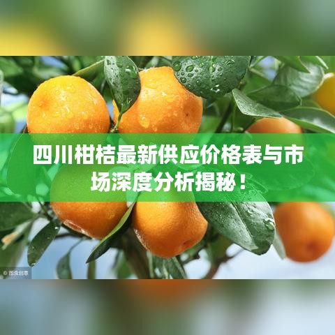 四川柑桔最新供应价格表与市场深度分析揭秘！