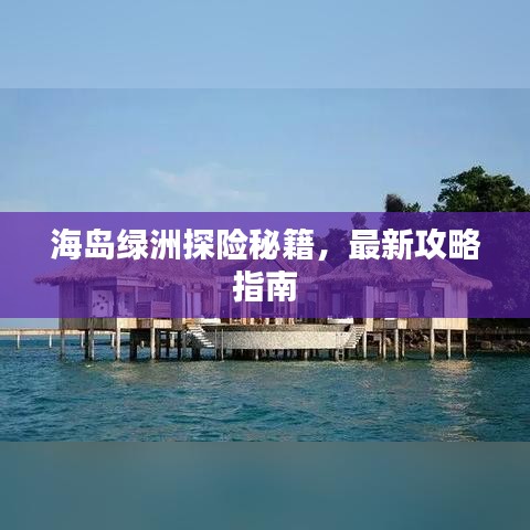 海岛绿洲探险秘籍，最新攻略指南