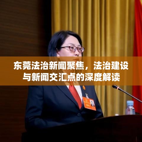 东莞法治新闻聚焦，法治建设与新闻交汇点的深度解读
