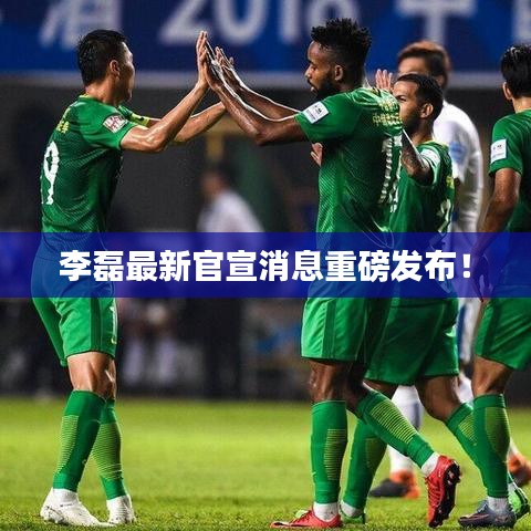 李磊最新官宣消息重磅发布！