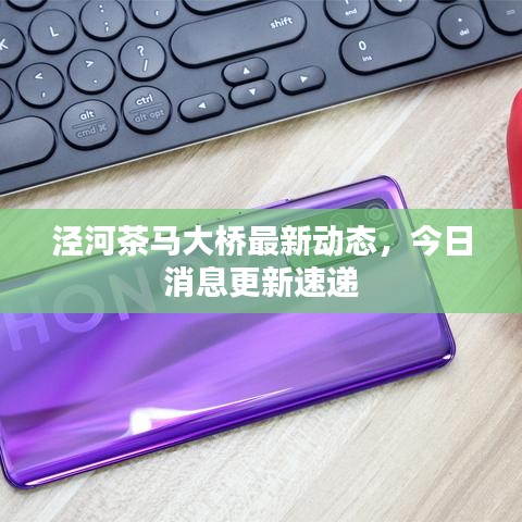 泾河茶马大桥最新动态，今日消息更新速递