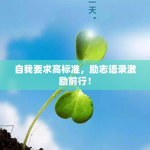 自我要求高标准，励志语录激励前行！