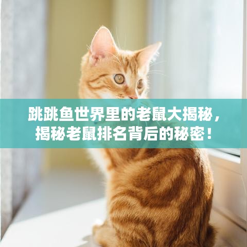 跳跳鱼世界里的老鼠大揭秘，揭秘老鼠排名背后的秘密！