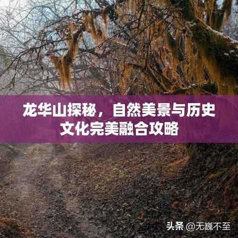 龙华山探秘，自然美景与历史文化完美融合攻略