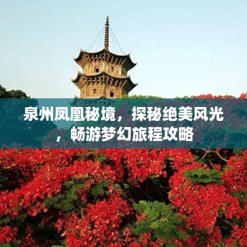 泉州凤凰秘境，探秘绝美风光，畅游梦幻旅程攻略