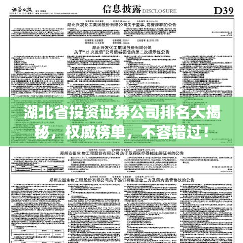 湖北省投资证券公司排名大揭秘，权威榜单，不容错过！