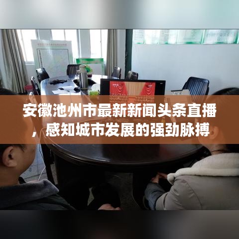 安徽池州市最新新闻头条直播，感知城市发展的强劲脉搏