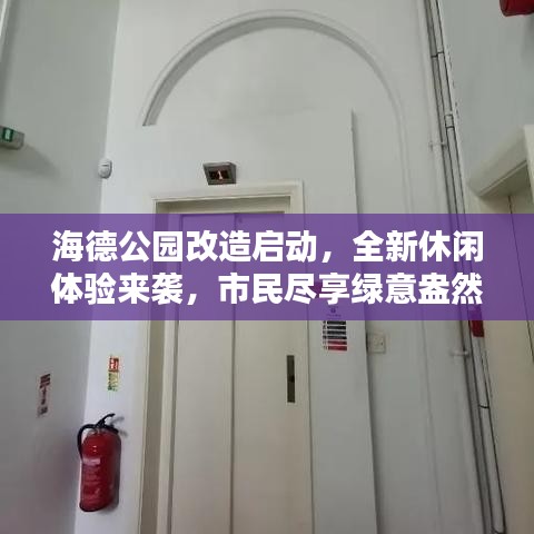 海德公园改造启动，全新休闲体验来袭，市民尽享绿意盎然时光