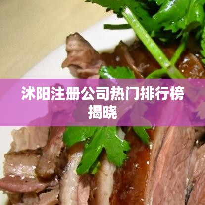 工业产品外观设计 第33页